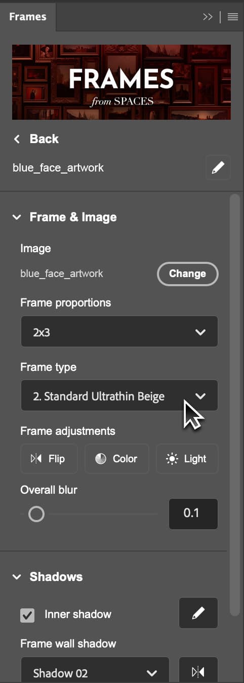 The FRAMES edit screen for changing frame style, color, lighting, shadows, and matboard