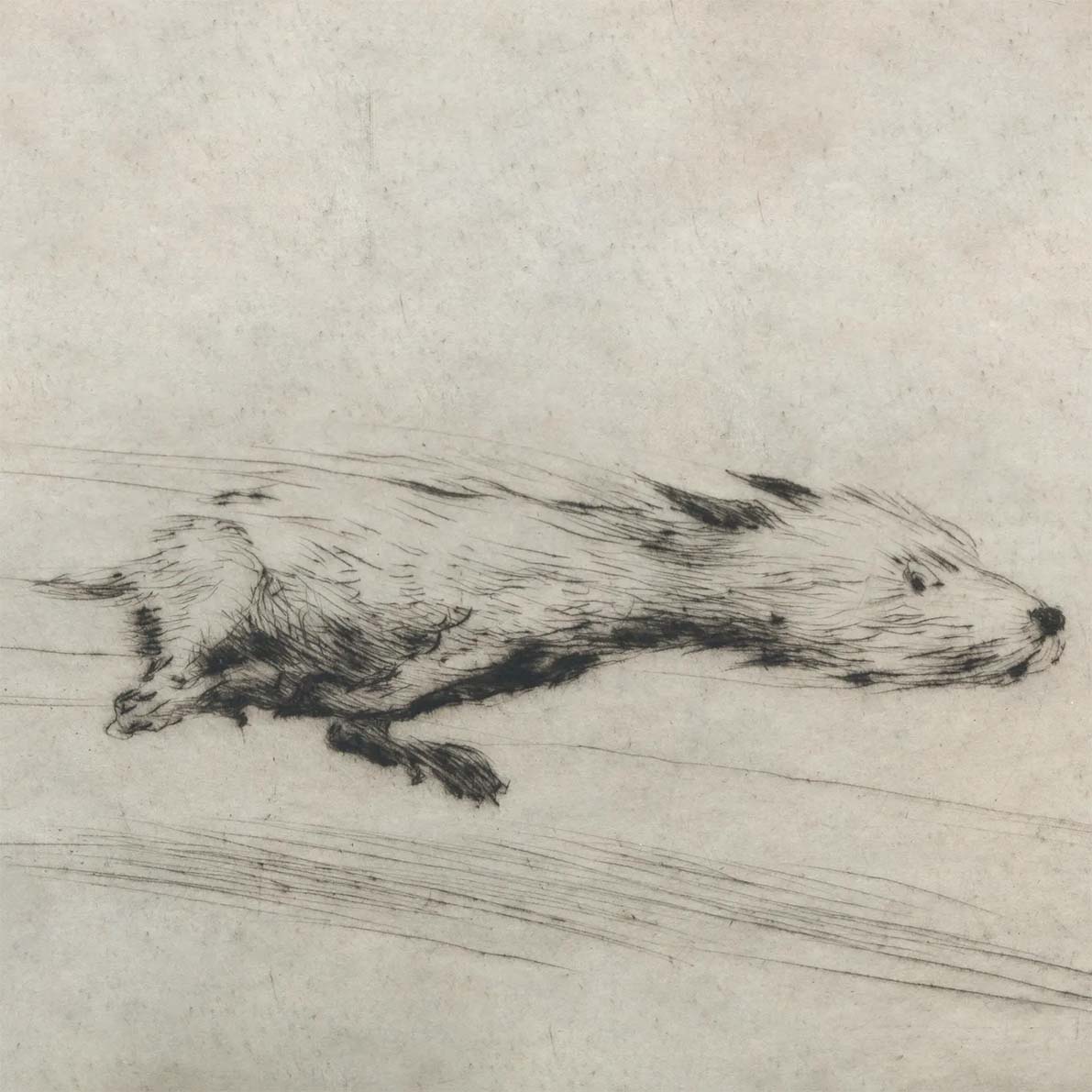 Close-up shot example by Mills Worth Print